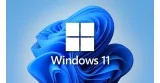 Licencia Windows 11