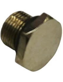 Tapón tornillo picadora de...