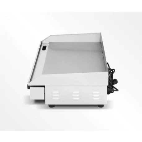 Fer électrique professionnel au chrome dur EG-820D