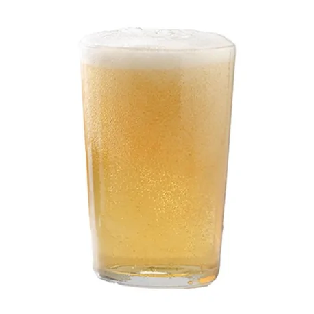 Beer Glass 25 cl (pack of 12 units)