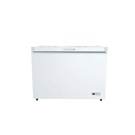 Arcón congelador puerta ciega BD-300