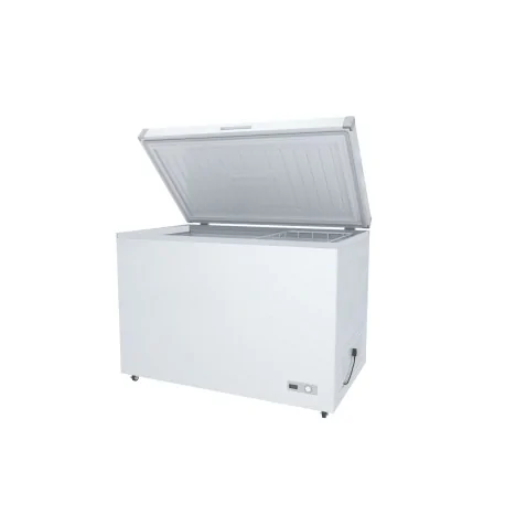 Arcón congelador puerta ciega BD-300