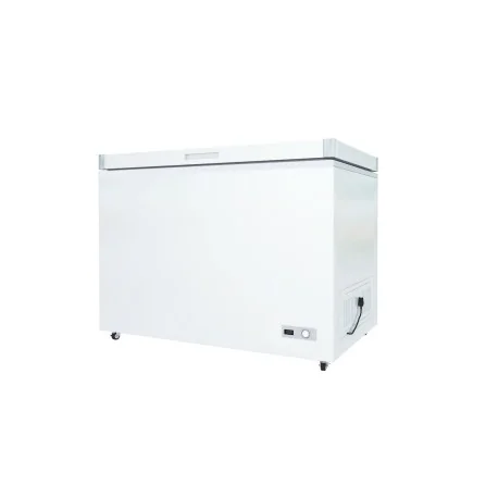 Porte aveugle pour congélateur coffre BD-300