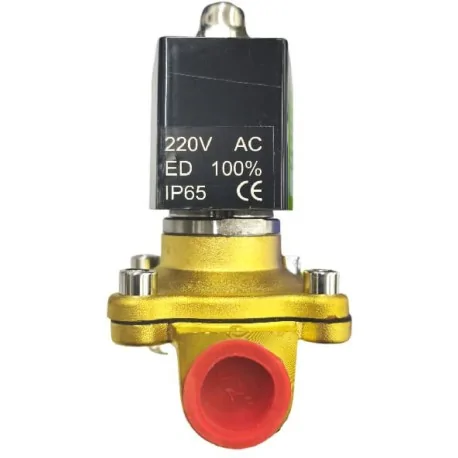 NC Solenoid Valve 2W-160-15 220VAC