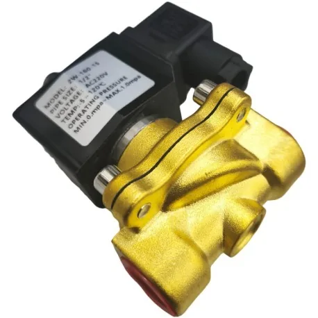 NC Solenoid Valve 2W-160-15 220VAC