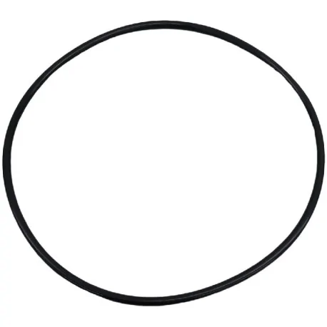 O-ring Piston Mainca EM-20 Stuffer Interior...