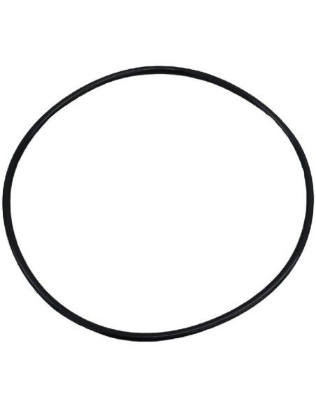 Joint torique Piston Poussoir à saucisse Mainca EM-20 Intérieur Ø234,32 épaisseur Ø6,99mm 6EMETO2343
