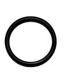 Gaggia O-ring 63x4.5mm G.50...
