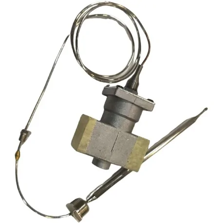 Termostato de seguridad gas  Freidora GF-17H...