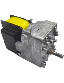 Motorreductor Asador de...