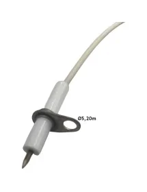 Électrode d'allumage avec...