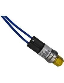 Presostato Johnson...