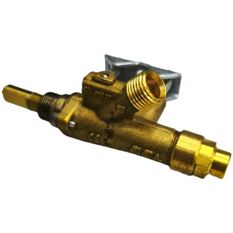 Robinet de gaz type ECA 65mbr avec Bride...