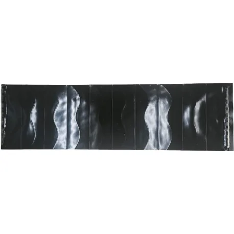 Bande transporteuse B silicone noir 228x800mm...