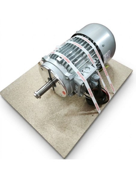 Motor mano derecha Medoc BGR freno III 230-400 V. 50 HZ. 3 CV. 300 33415 + tornillo motor rosca izquierda 35041