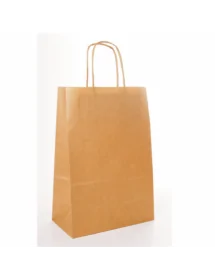 Kraft carrying bag with a handle (box 250 units)