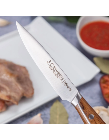 Set of 4 WAGYU steak knives 11.5 cm