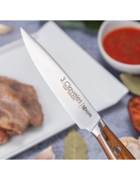 Set of 4 WAGYU steak knives 11.5 cm