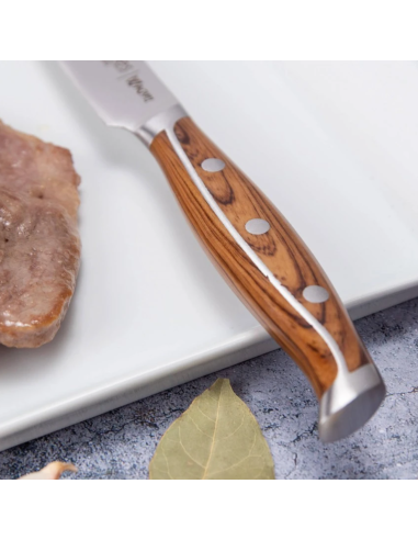 Set of 4 WAGYU steak knives 11.5 cm