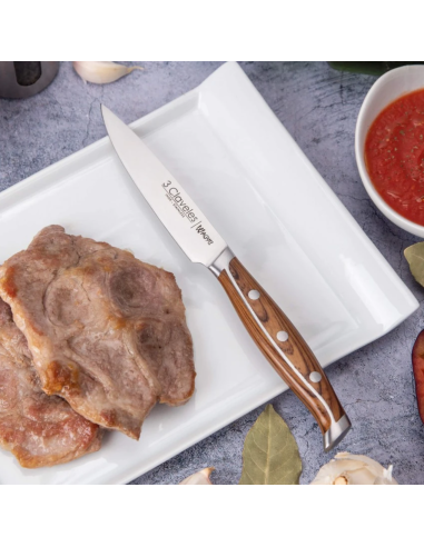 Set of 4 WAGYU steak knives 11.5 cm