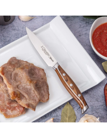 Set of 4 WAGYU steak knives 11.5 cm
