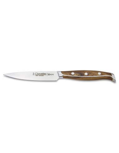 Set of 4 WAGYU steak knives 11.5 cm