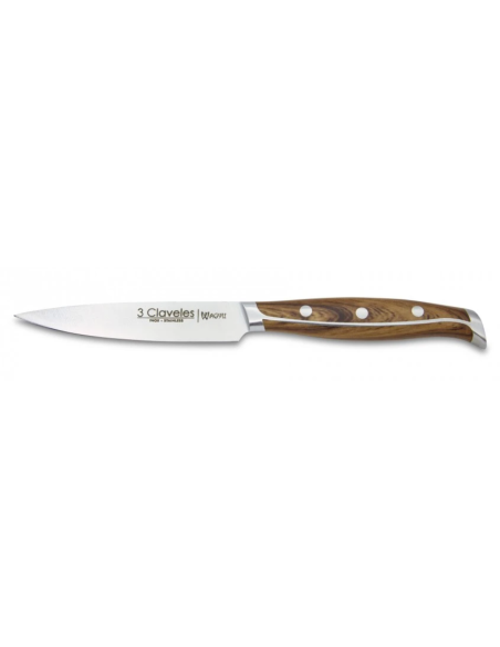 Set of 4 WAGYU steak knives 11.5 cm
