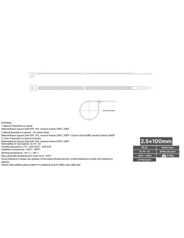Brida Nylon Negra 100x2,5 mm 100 unidades BRN25-100N