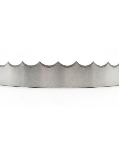 Pack 10 Cintas de Sierra 1830x16 mm Pescado Carne fresca Anelli Segaossi 16 mm