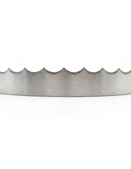 Pack 10 Cintas de Sierra 1830x20 mm Pescado Carne fresca