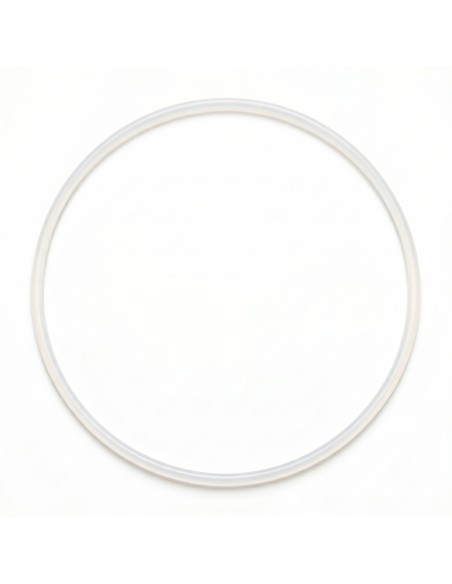 Junta Pistón Embutidora SF-350 CR Star 285x5,7 mm