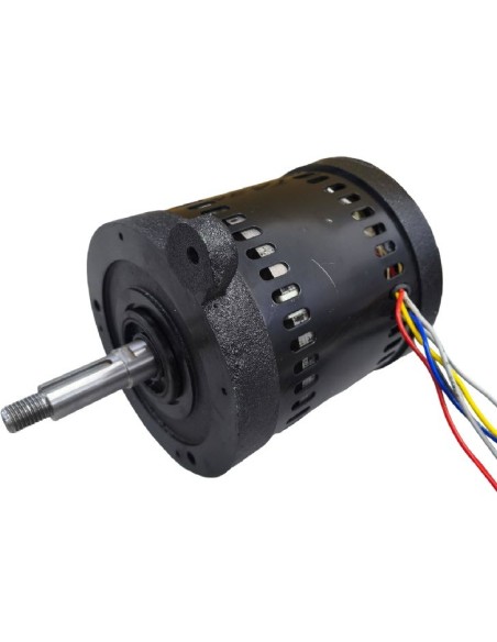 Meat grinder motor TK-32
