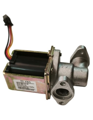 Électrovanne à gaz pour friteuse à gaz GF modèle ZD131-G