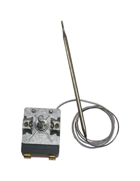 Termostato T máx 250°C WY250-652-21Y HBV-1