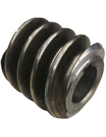 Vis sans fin d'axe moteur hachoir à viande TK-32 ST