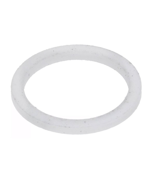 Flat gasket inner Ø 21 mm outer Ø 26 mm thickness 2 mm PTFE for GAGGIA SPAZIALE pack of 1 unit 528683