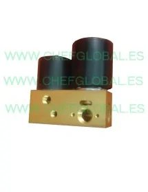 Electroválvula doble 2006 Envasadora Vacío DZ