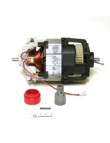 Motor Set Electronics Sammic 220v TR-350: 9b