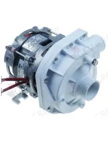 bomba entrada ø 45mm salida ø 38mm tipo ZF320SX 230V 50Hz 0,55kW 0,75PS L 205mm 