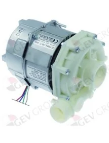 pump inlet ø 50mm outlet ø 40mm type L80.T7_5040 230V 50Hz 1 phase 0,6kW 0,8HP L 205mm Elframo