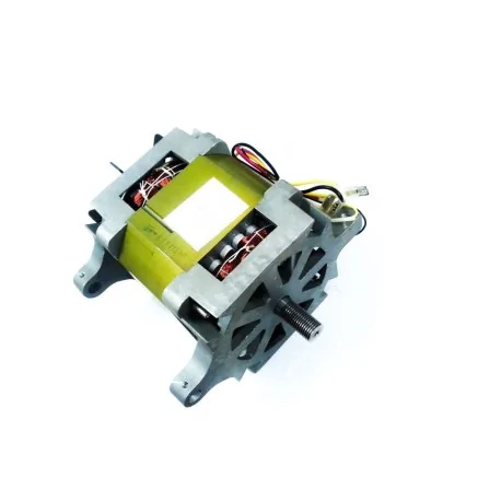 Slicer Motor HBS-350 YY13565 100W 230V 2.5A 1400 rpm