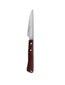 Knife with plastic handle TERNASCO BASIC