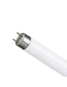 Lampe