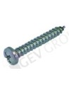 Screw