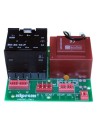 Placa Electrónica Maniobra