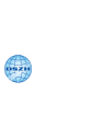 DSZH